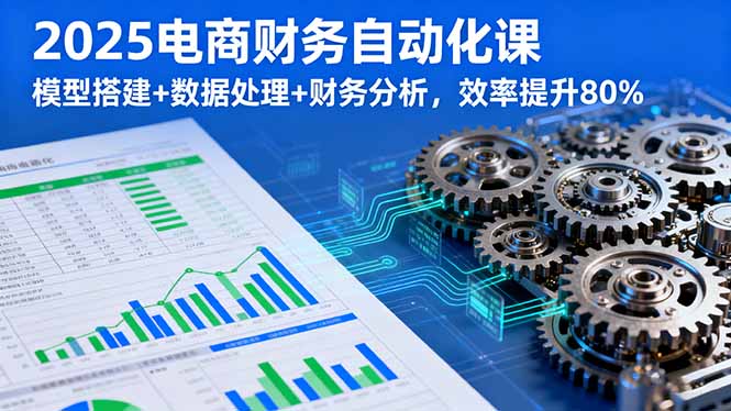 2025电商财务自动化课，模型搭建+数据处理+财务分析，效率提升80%-资源教程须哥