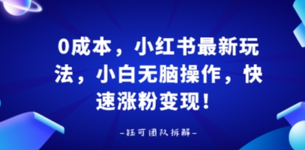 0成本，小红书最新玩法，小白无脑操作，快速涨粉变现-资源教程须哥