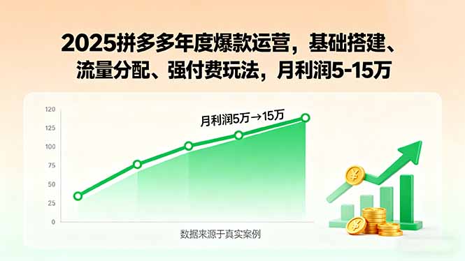 2025拼多多年度爆款运营,基础搭建、流量分配、强付费玩法,月利润5-15万-资源教程须哥