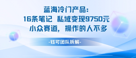 蓝海项目：16条笔记私域变现9750米小众赛道操作的人不多-资源教程须哥