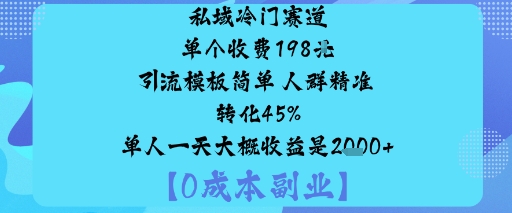 私域冷门赛道:单个收费198米引流模板简单人群精准转化45%单人一天大概收益是1k+-资源教程须哥