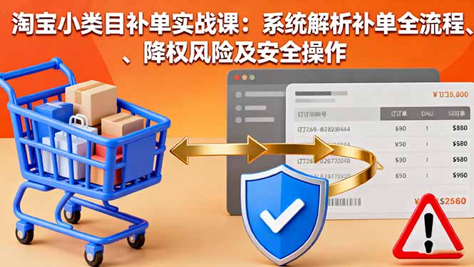 淘宝小类目补单实战课：系统解析补单全流程、降权风险及安全操作-资源教程须哥