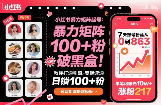 小红书暴力矩阵起号，教你打通引流-变现速通，日锁100+粉，破流量黑盒-资源教程须哥