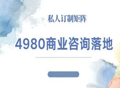 4980商业咨询师落地课程-ip运营高客单教程-资源教程须哥