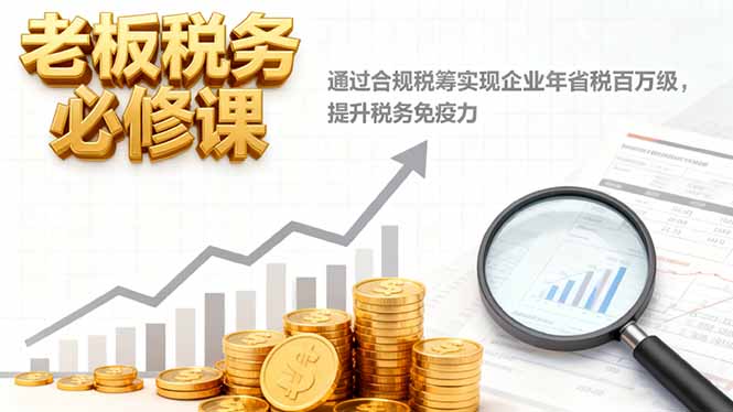 老板税务必修课，通过合规税筹实现企业年省税百万级，提升税务免疫力-资源教程须哥