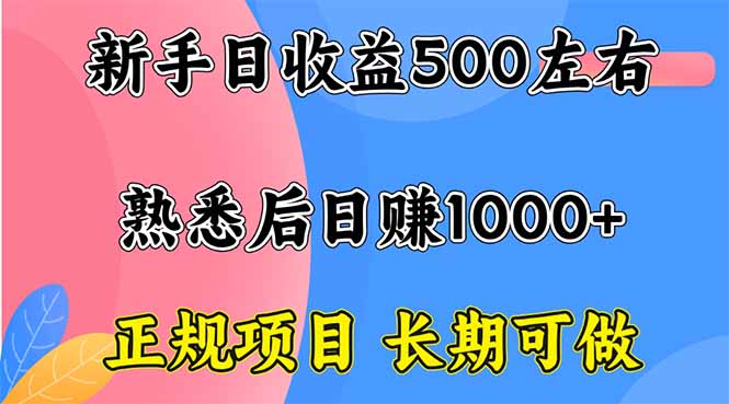 新手日收益500+ 正规项目 长期可做-资源教程须哥