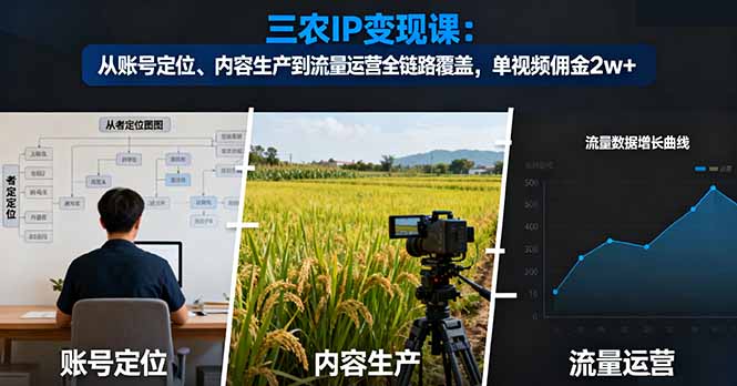 三农IP变现课：从账号定位、内容生产到流量运营全链路覆盖，单视频佣金2w+-资源教程须哥