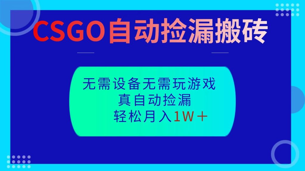 CSGO自动捡漏搬砖，当天操作当天见结果，无需了解游戏，包教包会包落地-资源教程须哥