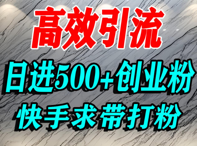 怎么打创业粉？快手求带视角精准引流创业粉，宝妈、学生群体日进500+精准流量-资源教程须哥