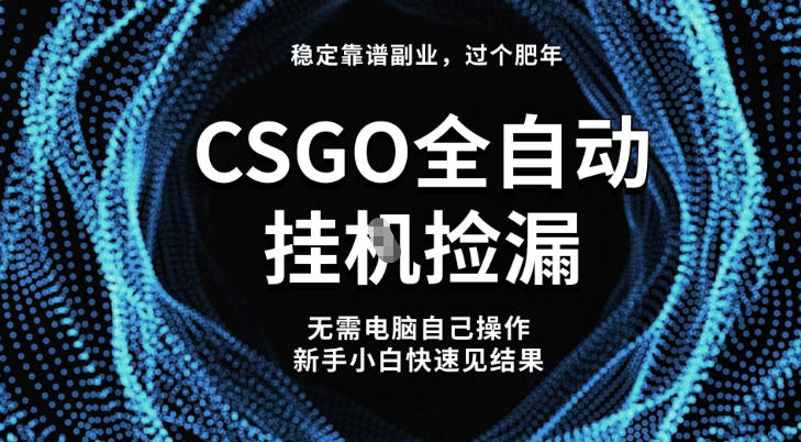 【稳定副业】全球最热门游戏CSGO全自动捡漏，最新玩法，新手小白日入5张+【揭秘】-资源教程须哥