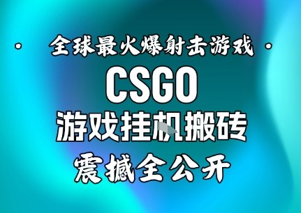 【年底大揭秘】基于全球最火爆的射击CSGO游戏挂G搬砖，日入5张+，震撼公开-资源教程须哥