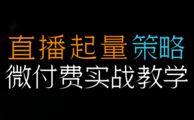 半野老师·直播带货起量与微付费必学课视频号-资源教程须哥