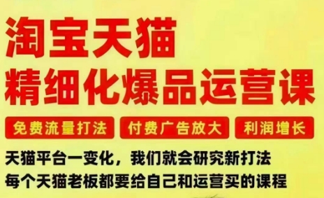 淘宝天猫精细化爆品运营课,免费流量打法-付费广告放大-利润增长-三大核心痛点,一次全部解决-资源教程须哥