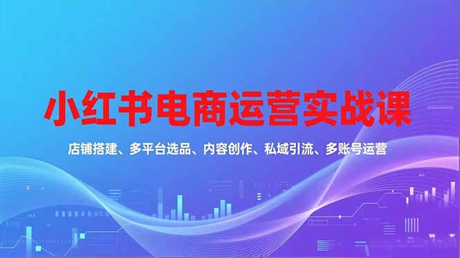 小红书电商运营实战课，店铺搭建、多平台选品、内容创作、私域引流、多账号运营等玩法-资源教程须哥