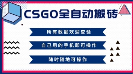 CSGO全自动搬砖，年底钱回家好项目，当天可拿到结果，新手小白轻松月入1W+【揭秘】-资源教程须哥