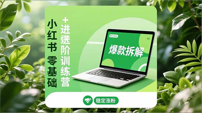 小红书零基础+高阶训练营：安全养号、爆款拆解、长效运营，实现稳定涨粉与变现-资源教程须哥