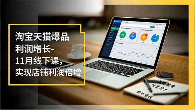 淘宝天猫爆品利润增长-11月线下课，免费流量、付费放大、费比管控，实现店铺利润倍增-资源教程须哥