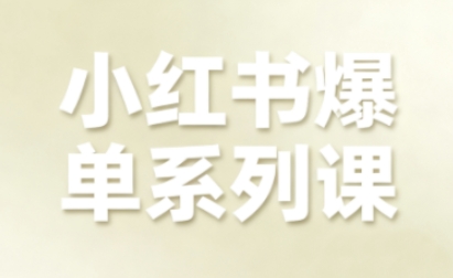 小红书爆单系列课，聚焦小红书电商全链路增长(更新)-资源教程须哥