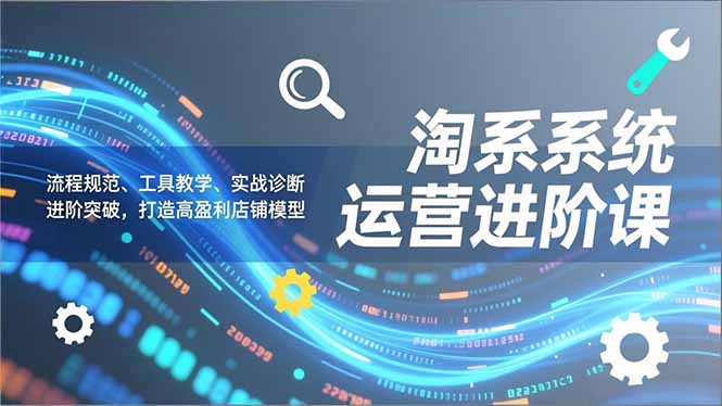 淘系系统运营进阶课2.0，流程规范、工具教学、实战诊断，进阶突破，打造高盈利店铺模型-资源教程须哥