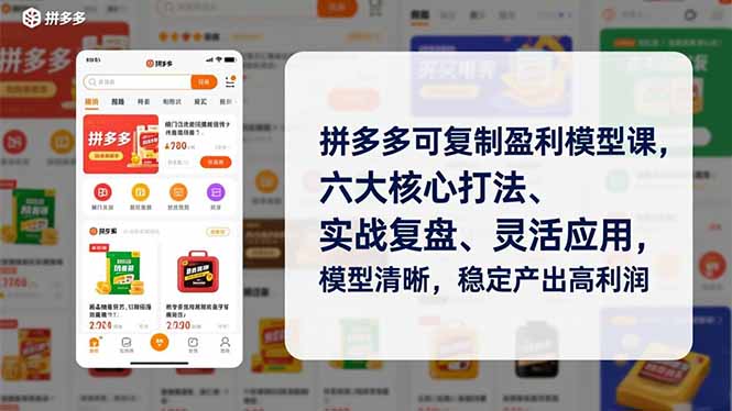 拼多多可复制盈利模型课，六大核心打法、实战复盘、灵活应用，模型清晰，稳定产出高利润-资源教程须哥