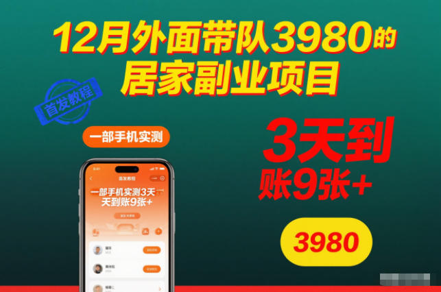 12月外面带队3980的居家副业项目，一部手机实测3天到账9张+，首发教程【揭秘】-资源教程须哥