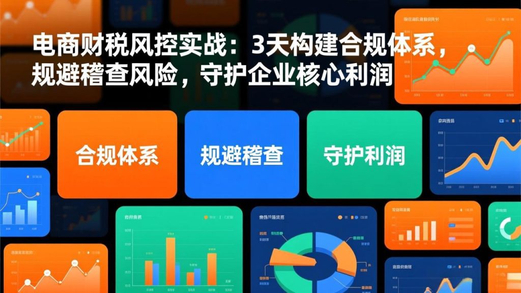 电商财税风控实战：3天构建合规体系，规避稽查风险，守护企业核心利润-资源教程须哥