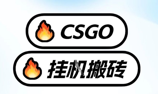 真全网独家CSGO挂G，最新玩法,单日捡漏1K+，不用电脑，不用打游戏【揭秘】-资源教程须哥