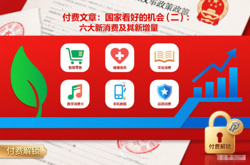 付费文章：国家看好的机会(二)：六大新消费及其新增量-资源教程须哥