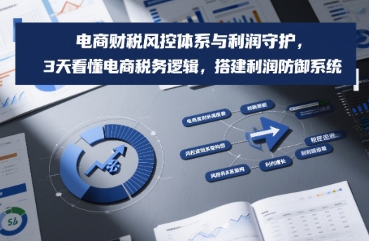 电商财税风控体系与利润守护，3天看懂电商税务逻辑，搭建利润防御系统-资源教程须哥