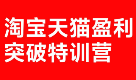 玺承·淘宝天猫盈利突破特训营(25年12月线下课)【音频+字幕】-资源教程须哥