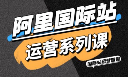 醒目老师·阿里国际站运营系列课(更新3月)-资源教程须哥