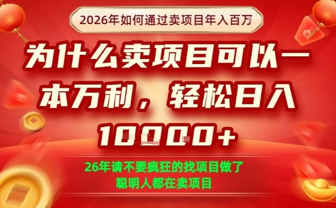 一单净利润1K+，26年想年入100个W，死磕卖项目就够了【揭秘】-资源教程须哥