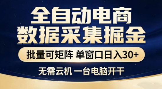 独家电商数据全自动采集项目，批量可矩阵，单窗口轻松日入3张+【揭秘】-资源教程须哥