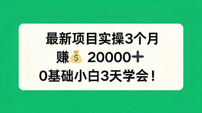 最新项目实操3个月，赚钱20000+，0基础小白3天学会！-资源教程须哥