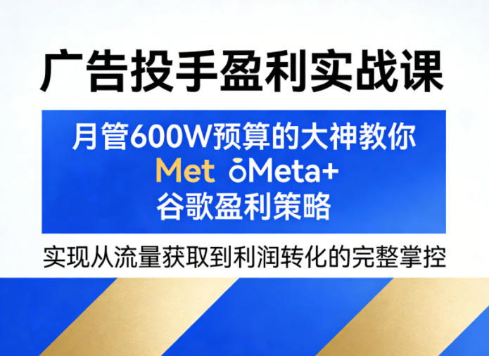 广告投手盈利实战课，月管600W预算的大神教你Meta+谷歌盈利策略，实现从流量获取到利润转化的完整掌控-资源教程须哥