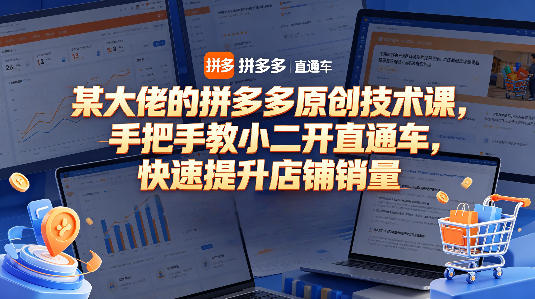 某大佬的拼多多原创技术课，手把手教小二开直通车，快速提升店铺销量-资源教程须哥