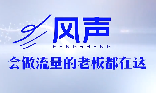 董十一·风声短视频AI获客年度会员-资源教程须哥
