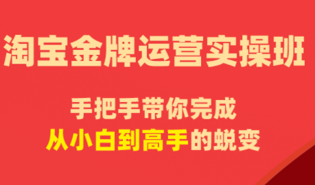 飓风电商·淘宝金牌运营实操班-资源教程须哥