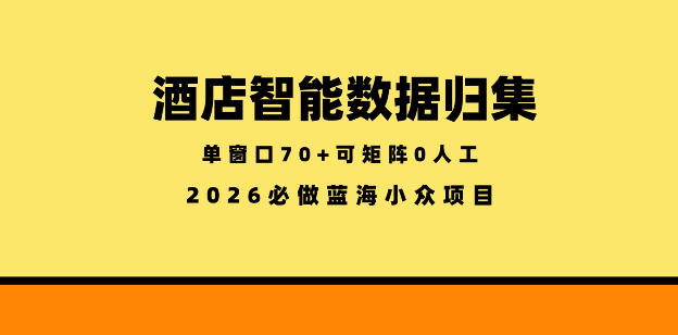 酒店智能数据归集，小众蓝海已经稳定半年之久，单窗口70+零成本矩阵开干【揭秘】-资源教程须哥